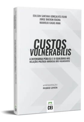 CUSTOS VULNERABILIS: A Defensoria Pública e o equilíbrio nas relações político-jurídicas dos vulneráveis