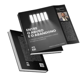 Capa do livro Entre o Abuso e o Abandono: O Sistema Criminal Brasileiro Contra os Direitos Humanos